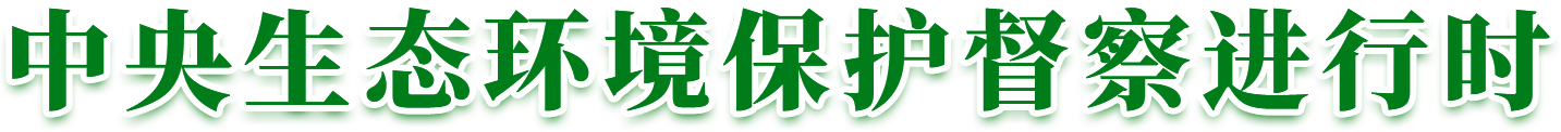 8.cc U投辅导者