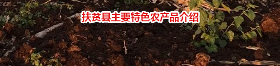 8.cc U投辅导者